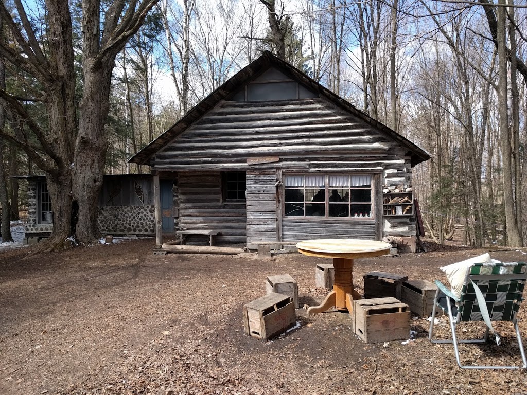 Horton Tree Farm | 5859 Slaters Rd, Gormley, ON L0H 1G0, Canada