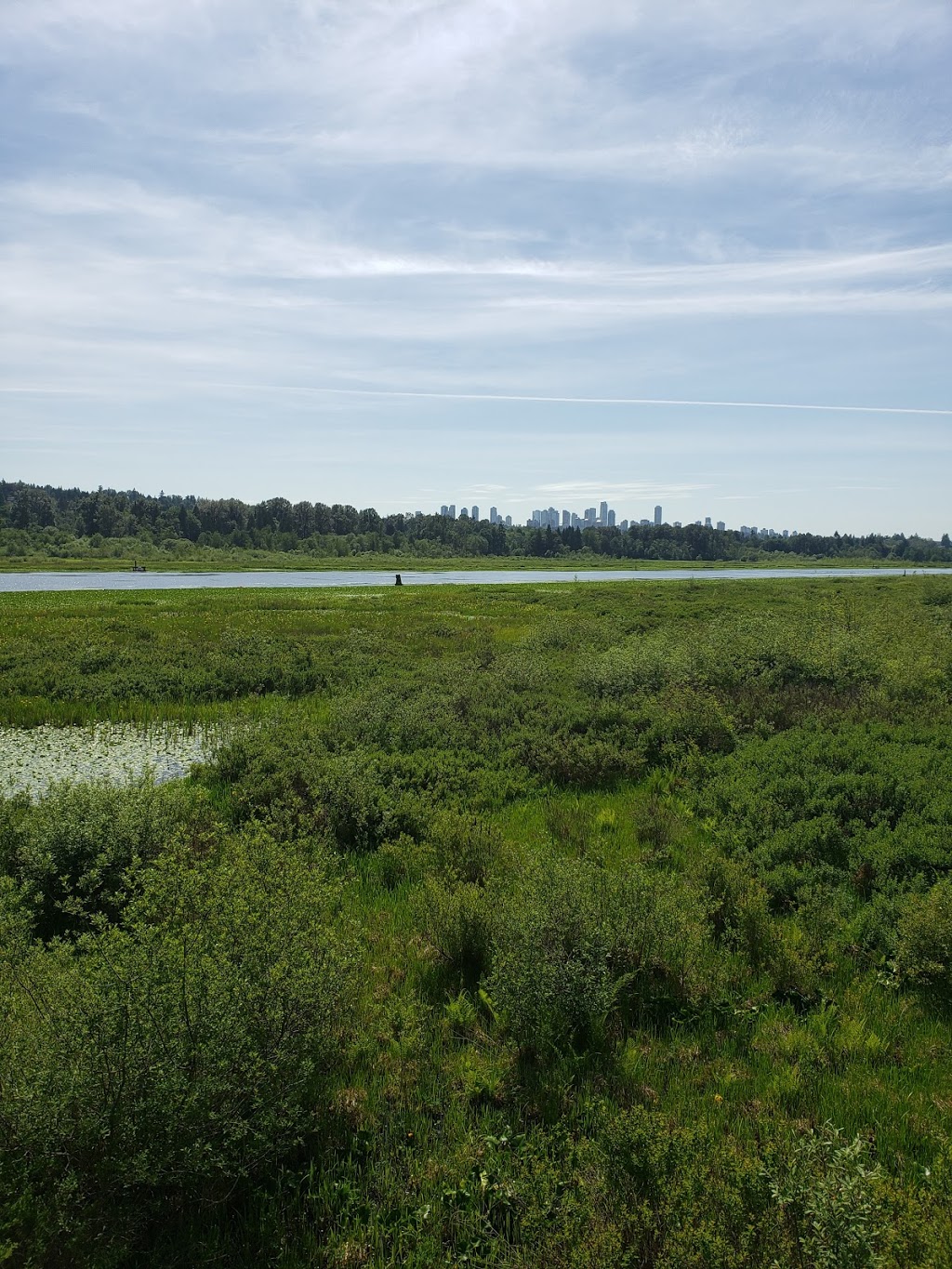 Swenson Walk | 2606 River Rd, Delta, BC V4K, Canada, Canada