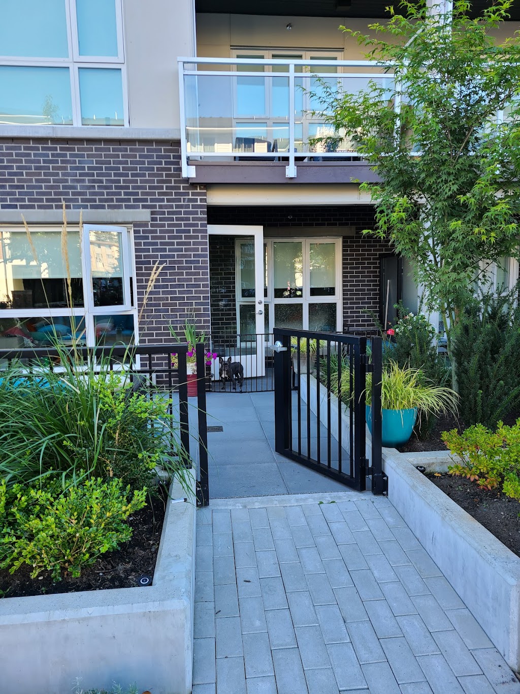 537 Foster by Bosa4Rent | 537 Foster Ave Office, Coquitlam, BC V3J 0J9, Canada | Phone: (604) 897-3333