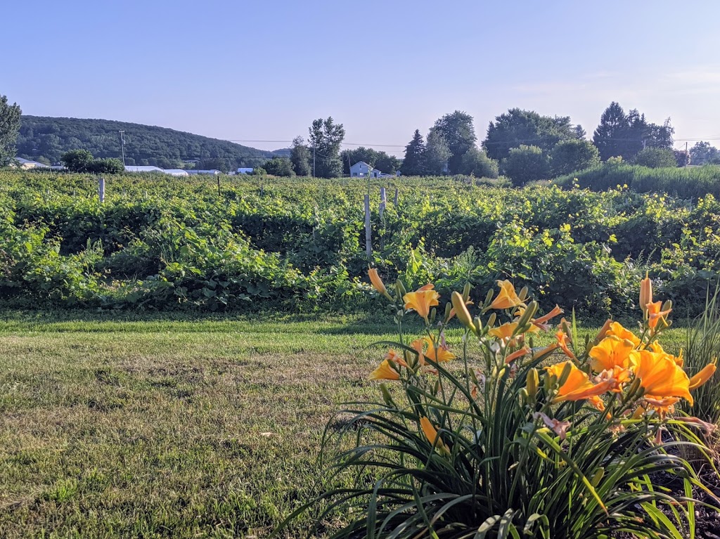 Jardin DEmmanuel Verger Mariage Vignoble | 153 Rang Sainte-Sophie, Oka, QC J0N 1E0, Canada | Phone: (438) 868-4497
