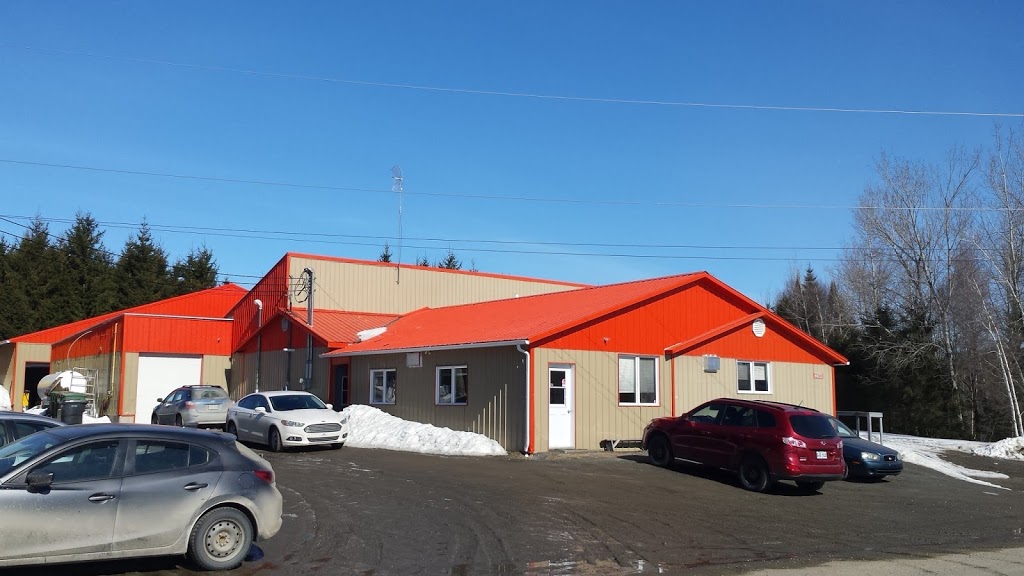 Erablière Des Chutes | 250 Rang des Chutes, Ham-Nord, QC G0P 1A0, Canada | Phone: (819) 344-5044