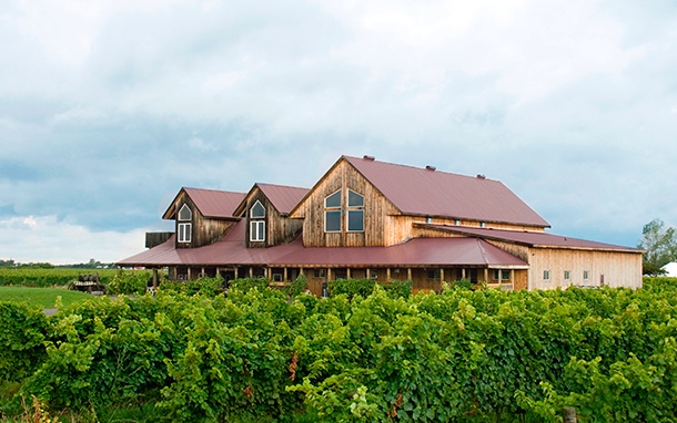 Cheers Transportation - Wine Tours & Shuttle Services | 349 Airport Road, Niagara-on-the-Lake, ON L0S 1J0, Canada | Phone: (905) 931-9197
