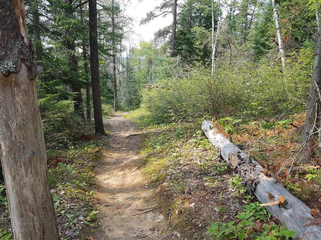 Windy Lake Provincial Park | 51 Pine St, Onaping, ON P0M 2R0, Canada | Phone: (705) 966-2315