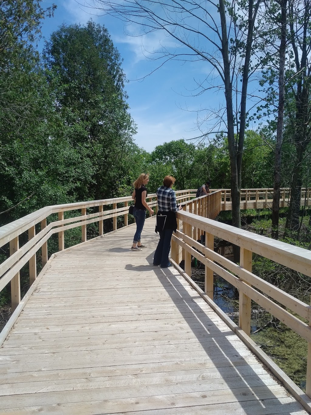 Huron Natural Area | 801 Trillium Dr, Kitchener, ON N2R 1K4, Canada | Phone: (519) 741-2600