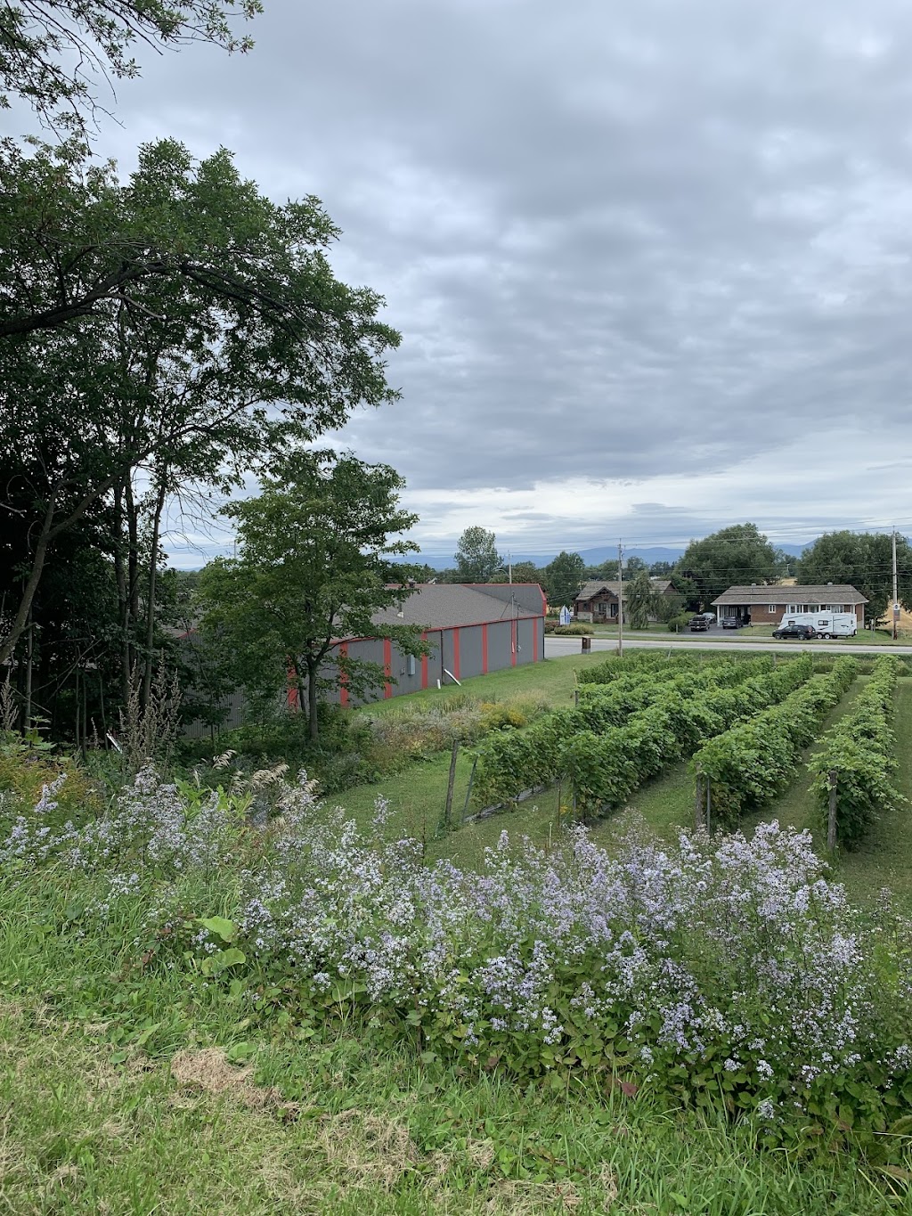 Domaine des Feux Follets | 82 Bd Blais E, Berthier-sur-Mer, QC G0R 1E0, Canada | Phone: (418) 241-6423