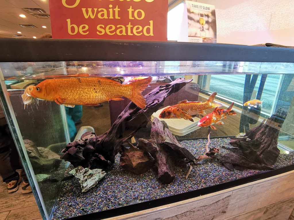 Jade Buffet Of China | 100 Trans-Canada Hwy, Salmon Arm, BC V1E 3B8, Canada | Phone: (250) 832-8886
