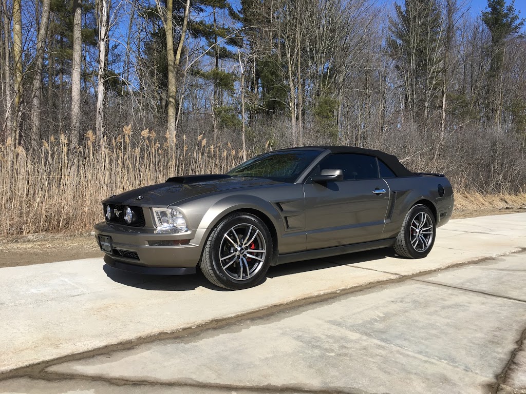 Martys Auto Detailing | 3319 Dove Rd, Port Huron, MI 48060, USA | Phone: (810) 650-5239