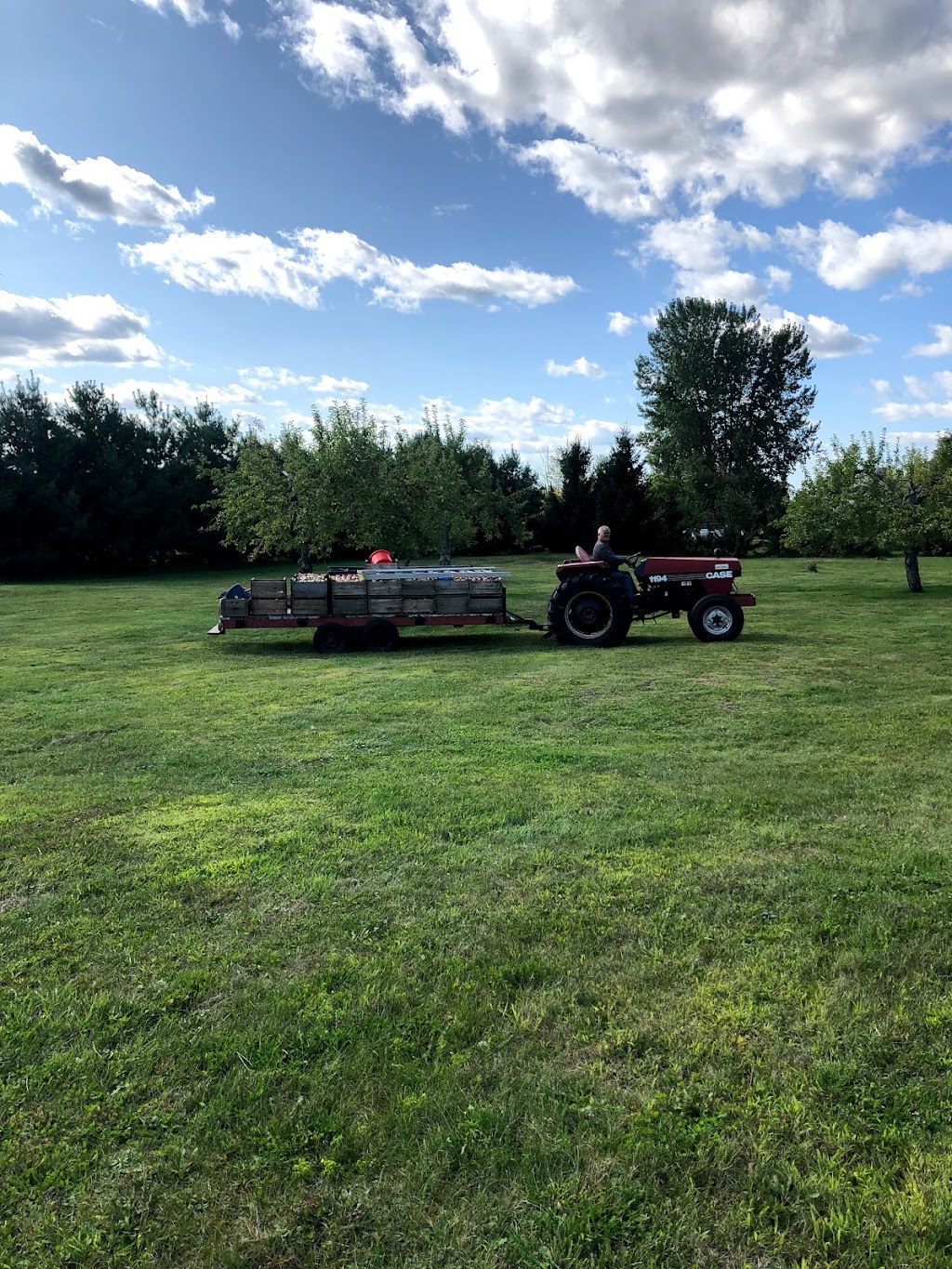 Verger Sullivan-Raymond | 312 Chem. Ozias-Leduc, Mont-Saint-Hilaire, QC J3H 4A5, Canada | Phone: (514) 588-6479
