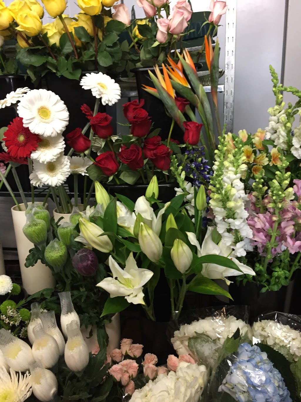 Hazeldean Florist | 455 Hazeldean Rd, Kanata, ON K2L 1V1, Canada | Phone: (613) 831-8529