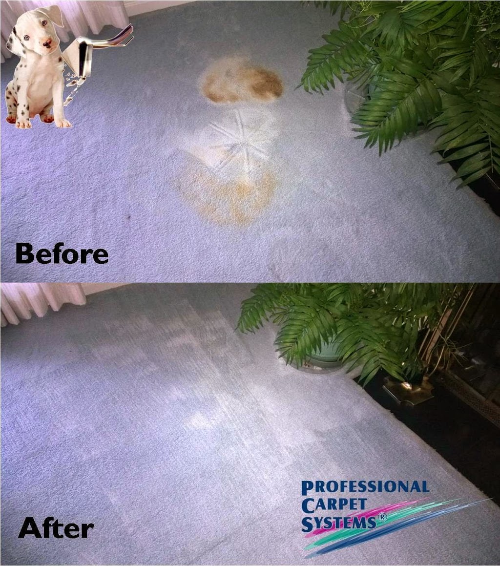 PCS of Niagara, Professional Cleaning Specialists | 18 Perma Ct, St. Catharines, ON L2R 7K8, Canada | Phone: (905) 646-6655