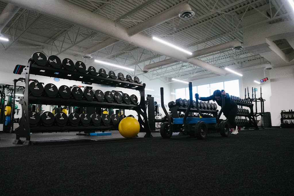 RINK Testify Performance | 57 S Landing Dr, Oak Bluff, MB R4G 0C4, Canada | Phone: (204) 489-7465