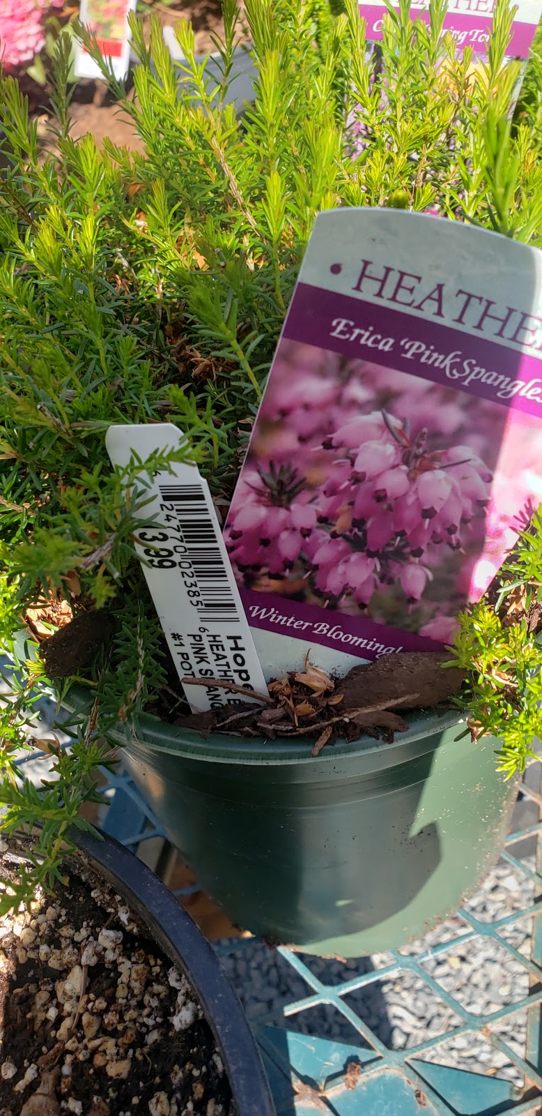 Hope Garden Centre | 21400 Trans-Canada Hwy, Hope, BC V0X 1L3, Canada | Phone: (604) 750-8152