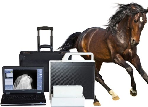 Digital X-Ray Equipment - Revive Imaging | 4458 Sideroad 20 N Unit A, Guelph, ON N1H 6J3, Canada | Phone: (519) 760-2273