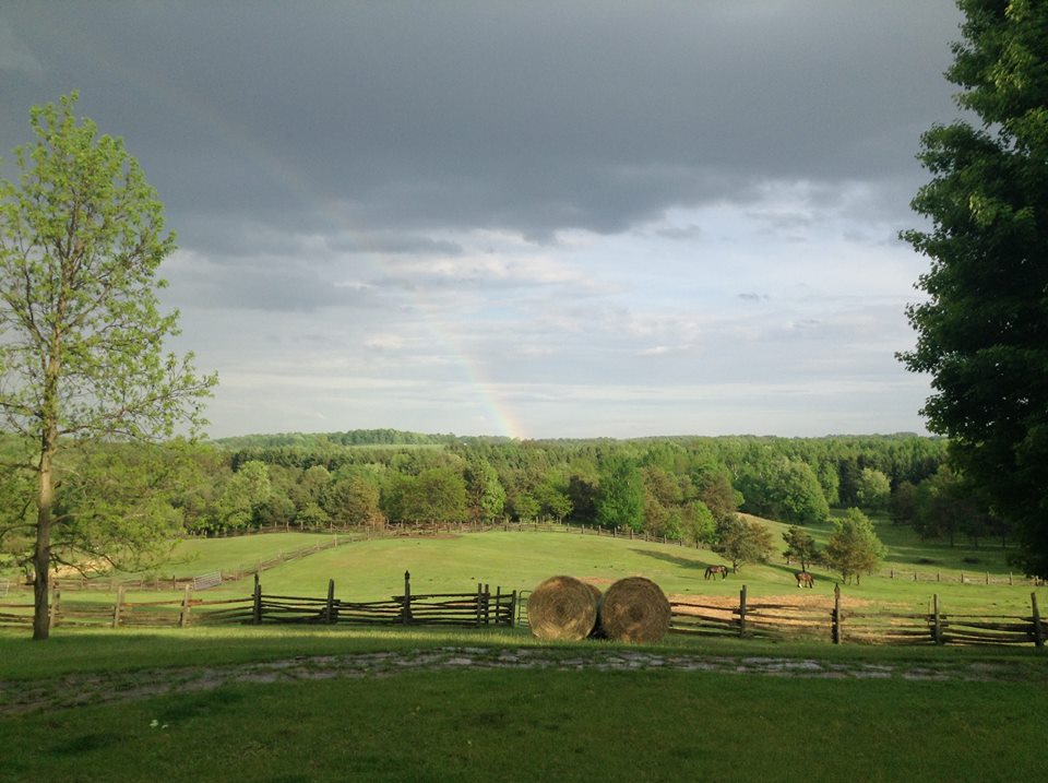 Laurenwood Farm | 2100 Concession Rd 5, Loretto, ON L0G 1L0, Canada | Phone: (905) 936-4592