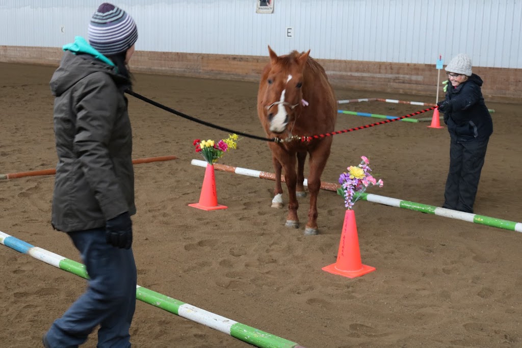 Double T Ranch | Box 213, QuAppelle, SK S0G 4A0, Canada | Phone: (306) 535-5649