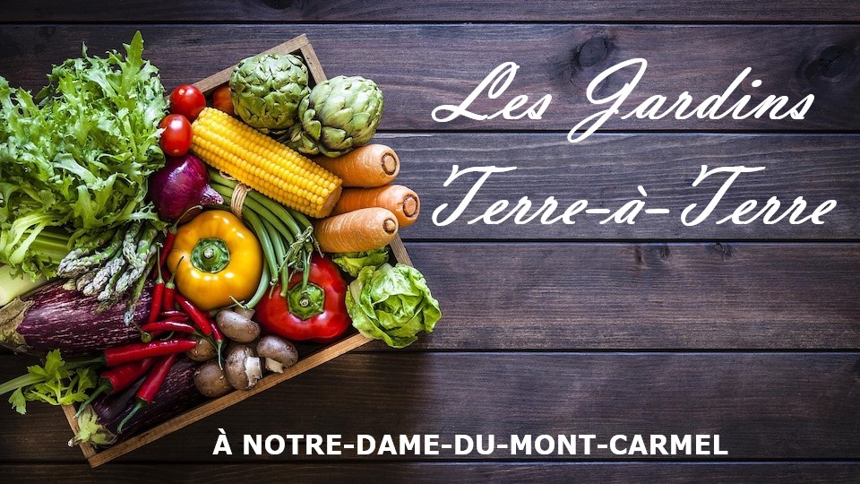 Les Jardins Terre-à-Terre | 281 Rang St Flavien O, Notre-Dame-du-Mont-Carmel, QC G0X 3J0, Canada | Phone: (819) 372-7819