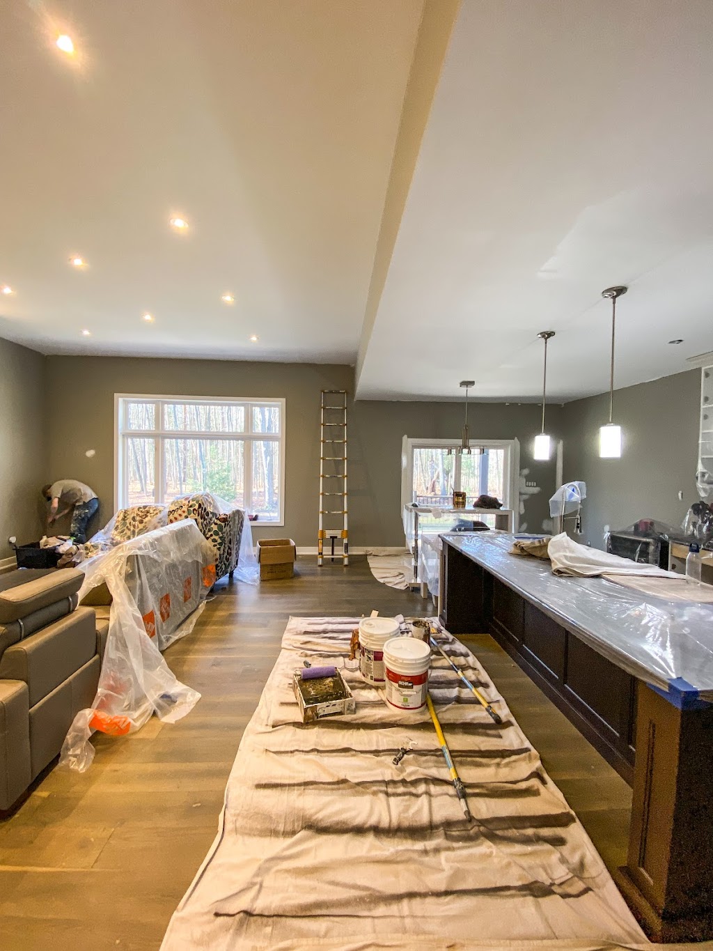 Painting Pro | 48 Nicklaus Dr, Barrie, ON L4M 6V8, Canada | Phone: (647) 573-8462