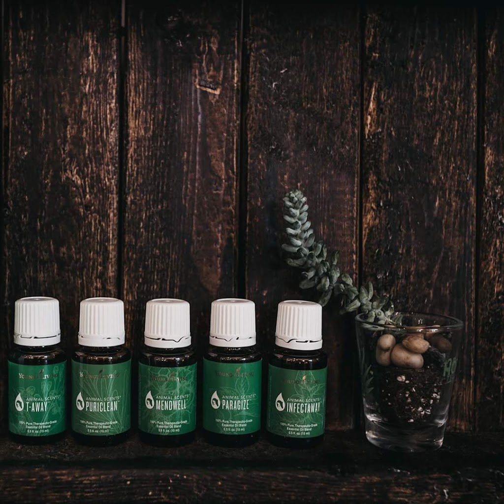 Diana Ten Have n.d., Naturotherapy- & EFT Facilitator | 11 Twilight Ave, Salisbury, NB E4J 2S7, Canada | Phone: (506) 871-3502