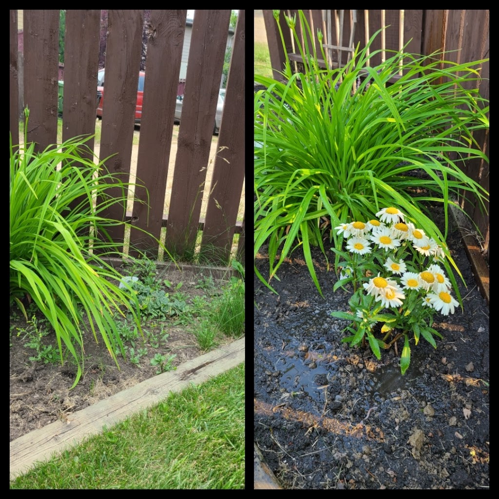 Legendary Yard Care Services | #9 Main St Unit 193, Hay Lakes, AB T0B 1W0, Canada | Phone: (780) 678-5532