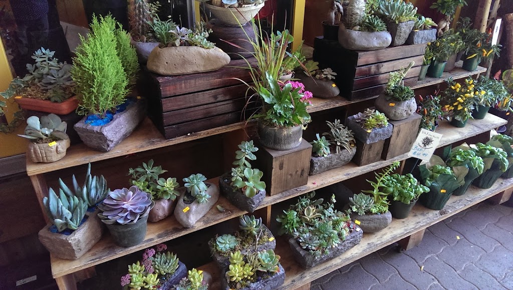Dons Food & Floral | 99 Menzies St, Victoria, BC V8V 2G3, Canada | Phone: (250) 386-1915