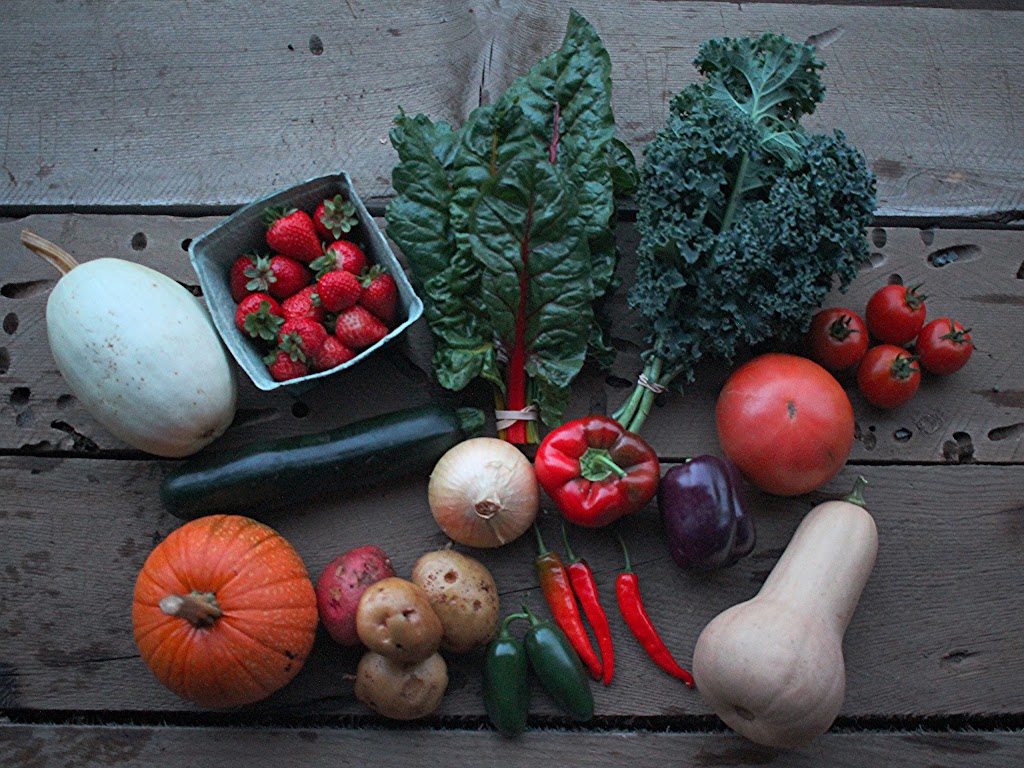 Kehler Vegetable Company | #8083, Black Creek, BC V9J 1G9, Canada | Phone: (250) 202-3236