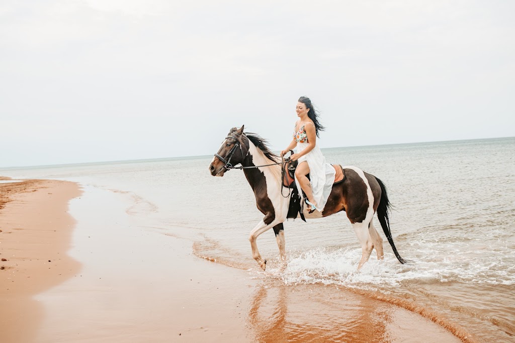 Venture Stables Equine Assisted Learning Center | 124 Campbell Rd, Freetown, PE C0B 1L0, Canada | Phone: (902) 247-0195