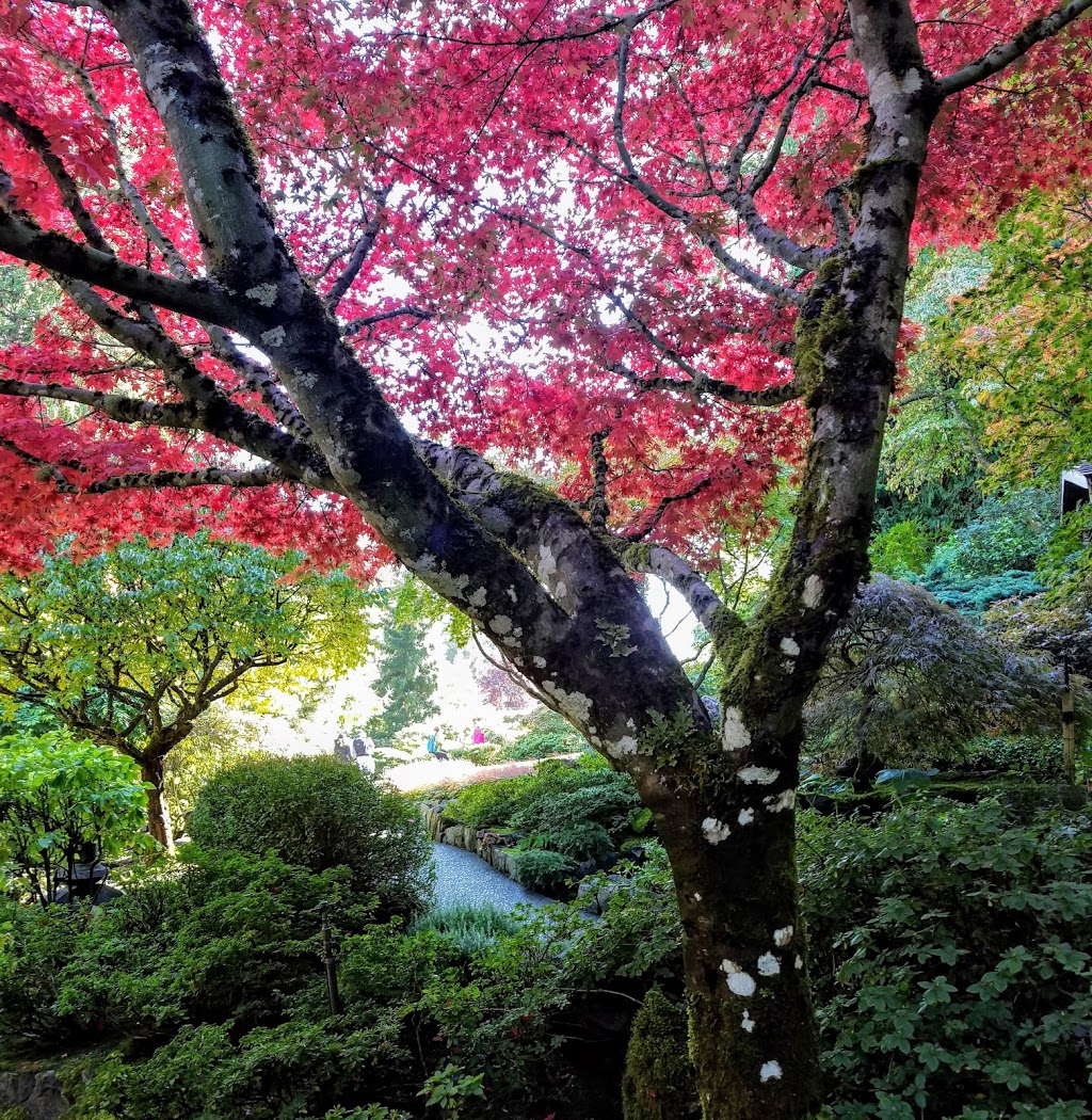 Japanese Garden | Brentwood Bay, BC V8M 1A6, Canada