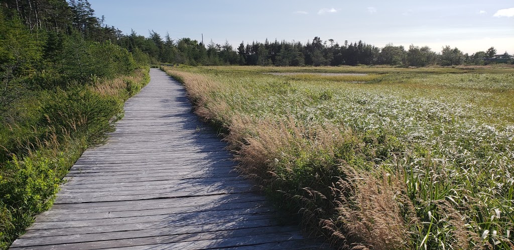 Branscombes Pond Park | Branscomes Pond Walk, Mount Pearl, NL A1N 3L2, Canada