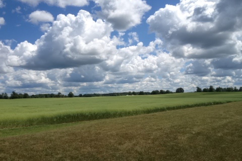 Keady Community Centre | Tara, ON N0H 2N0, Canada | Phone: (519) 934-2241