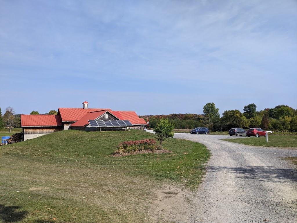 Redtail Vineyards | 422 Partridge Hollow Rd, Consecon, ON K0K 1T0, Canada | Phone: (613) 965-0893