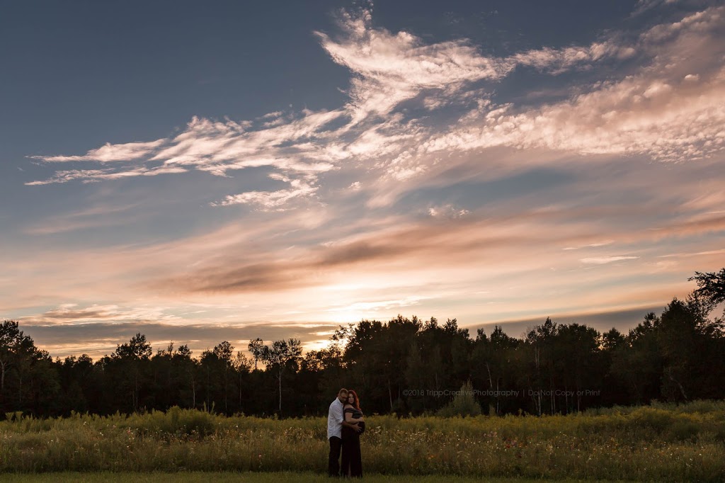 Tripp Creative Photography | 1851 Whitfield Rd, Port Perry, ON L9L 1B2, Canada | Phone: (905) 449-5895