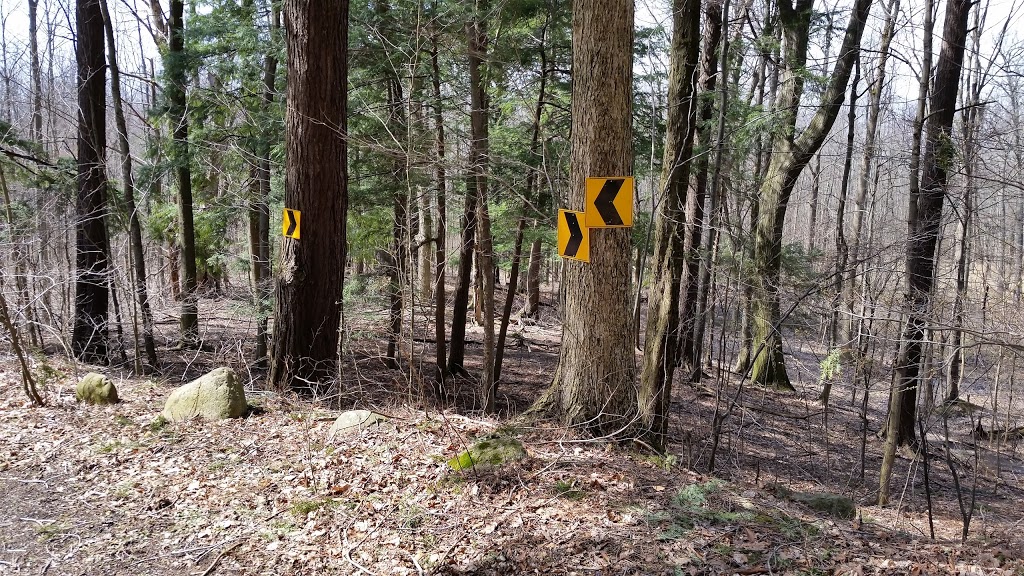 Chestnut Ridge Point 1 | 6121 Chestnut Ridge Rd, Orchard Park, NY 14127, USA