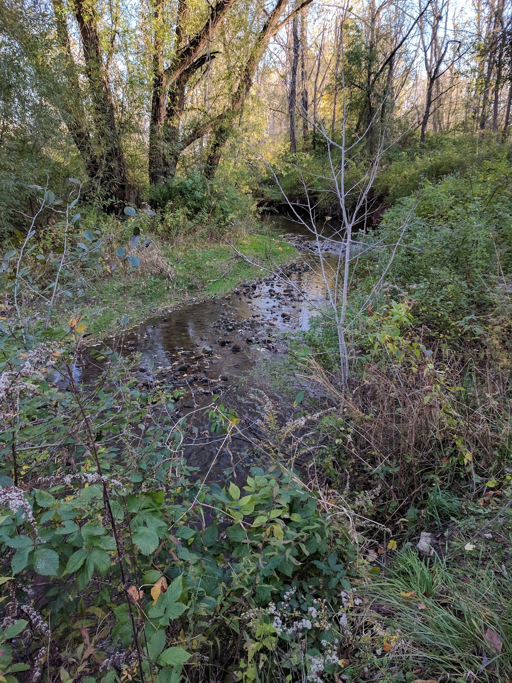Beeman Creek County Park | Clarence Center, NY 14032, USA