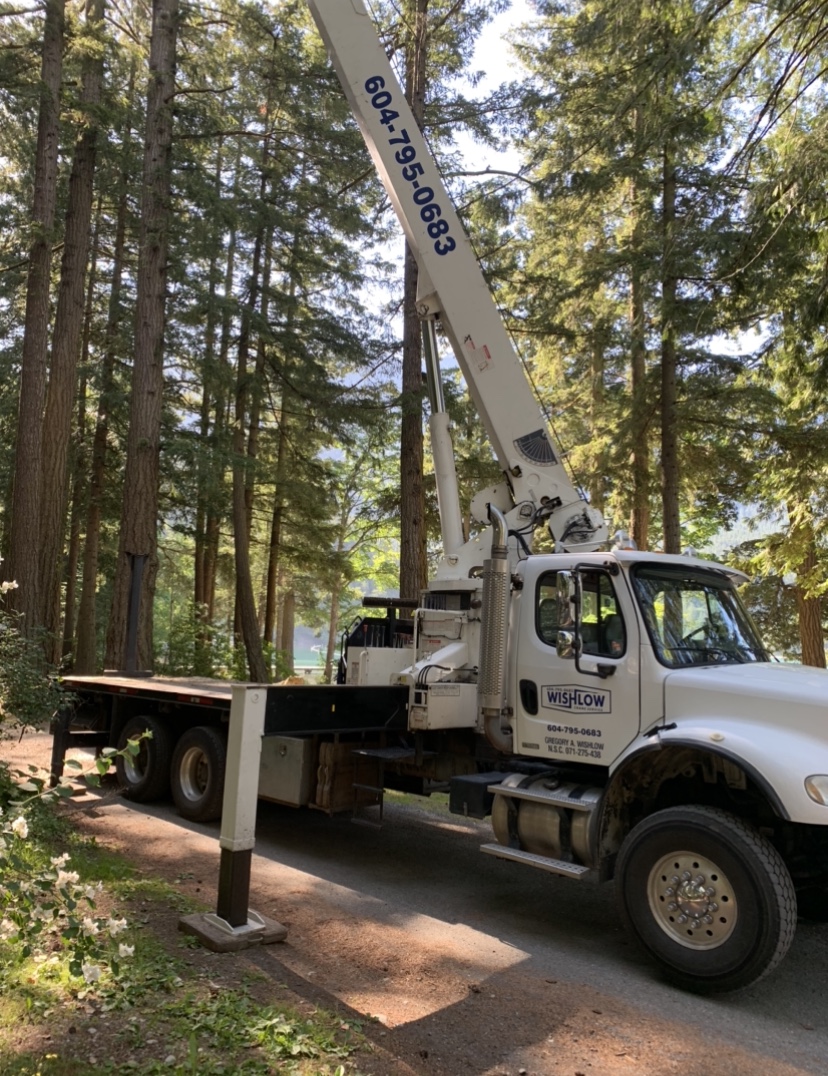 Wishlow Crane | 6736 Henry St, Chilliwack, BC V2R 2Z9, Canada | Phone: (604) 795-0683