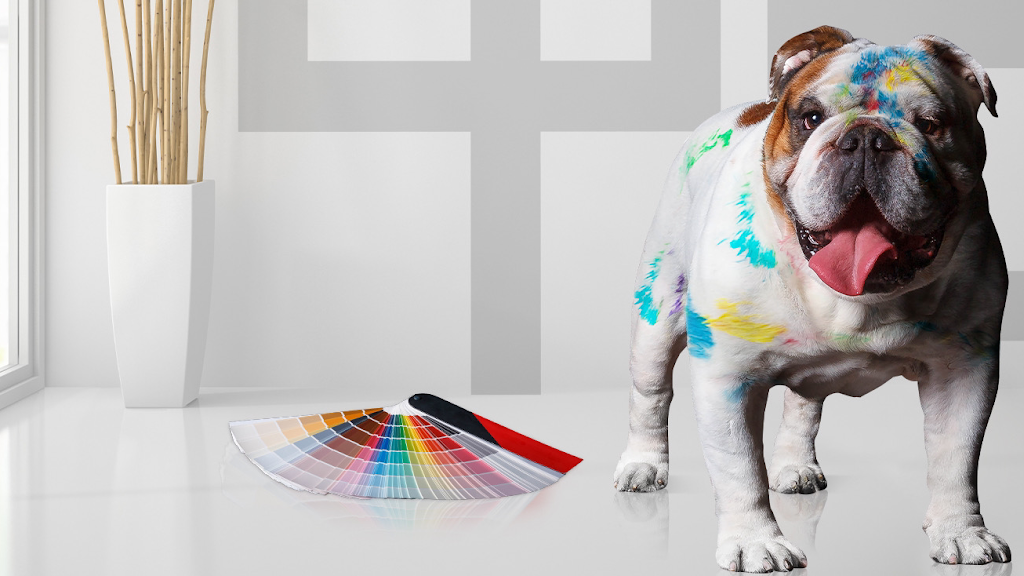 Sam Lepeintre inc. Montréal | 7660 Rue George, LaSalle, QC H8P 1C2, Canada | Phone: (877) 597-5501