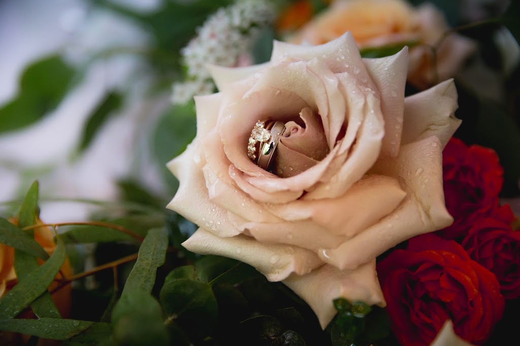 Katie Lauren Photography | 21599 Spring Ave, Maple Ridge, BC V4R 2K5, Canada | Phone: (604) 780-1417