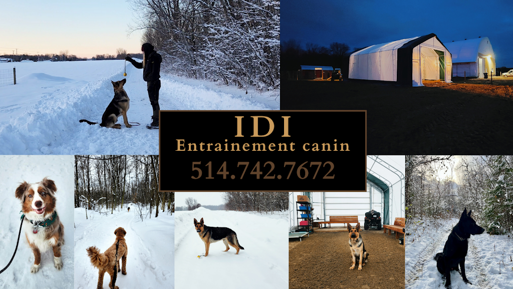 IDI Entrainement canin - Laval - | 1055 Rue Principale, Laval, QC H7X 1C1, Canada | Phone: (514) 742-7672