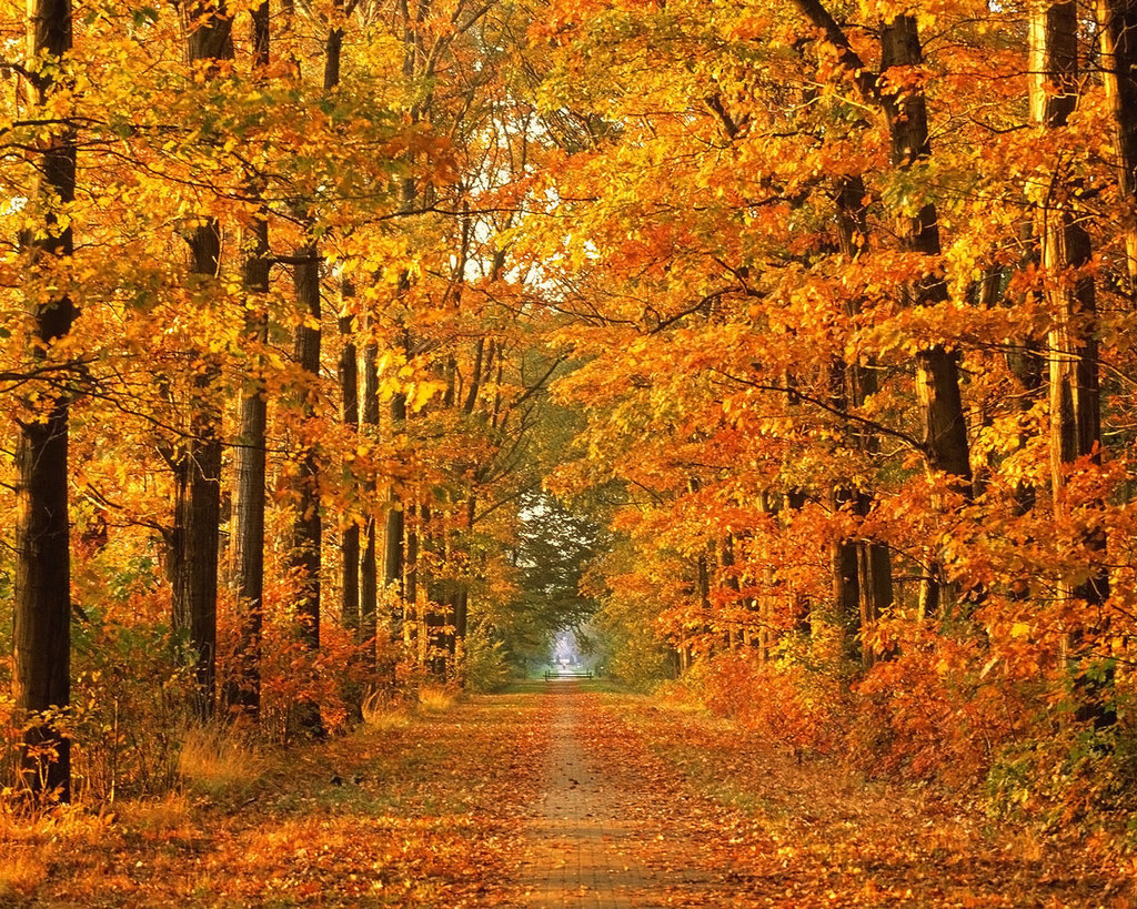 Asselstine Hardware | 6826 Road 38, Verona, ON K0H 2W0, Canada | Phone: (613) 374-3400
