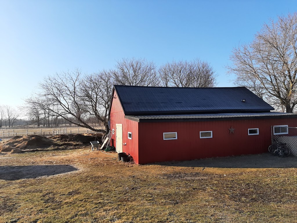 Keirside Kennels and Doggie Daycare | 2499 County Rd 12, Essex, ON N8M 2X6, Canada | Phone: (519) 971-3915