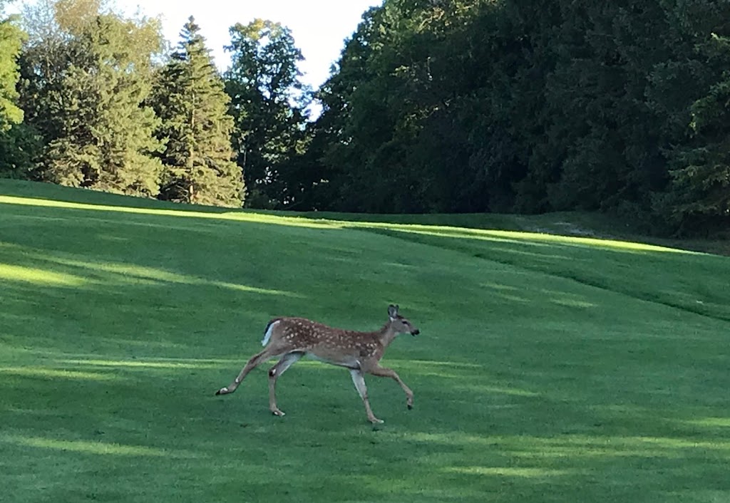 Echo Valley Golf Course | 2738 Brigham Rd, London, ON N6P, Canada | Phone: (519) 472-2760