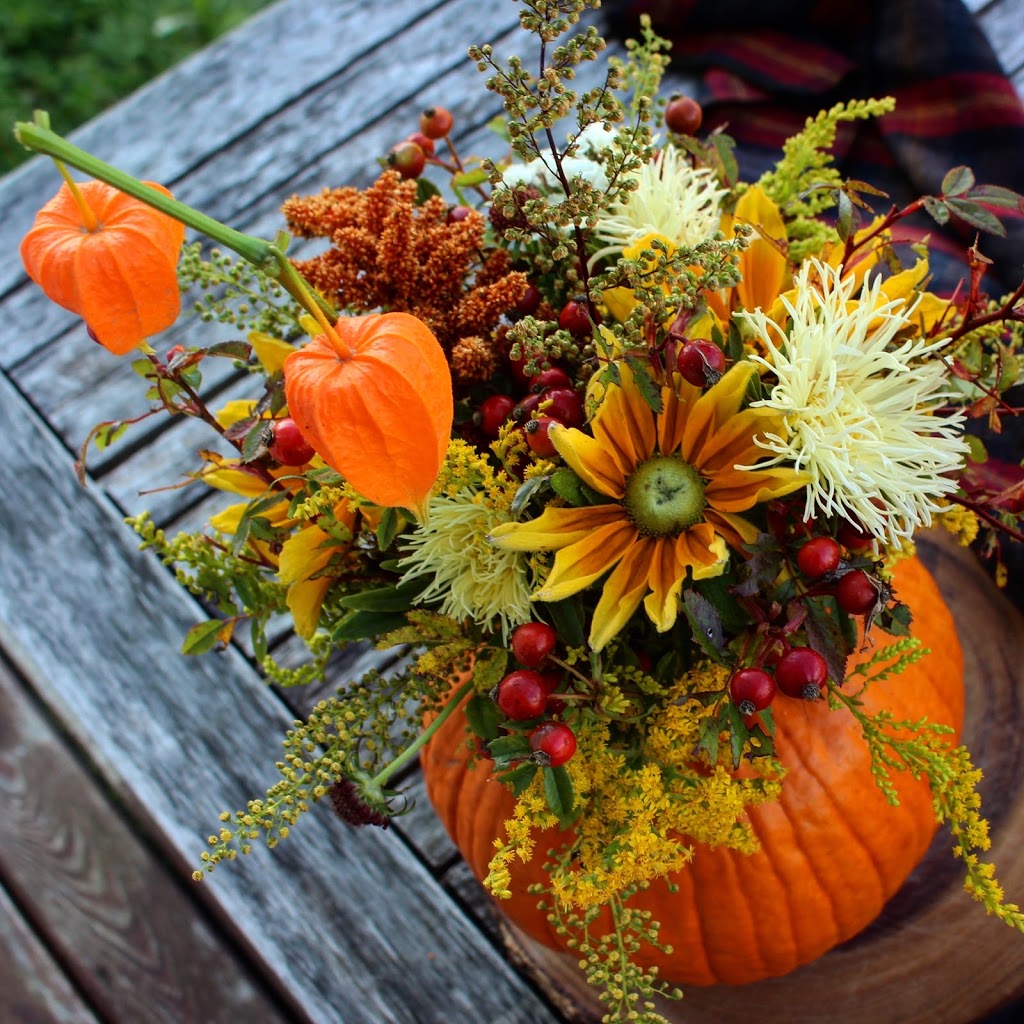 Two Birds One Stone Farm (Flower Farm) | 3442 NS-359, Centreville, NS B0P 1J0, Canada | Phone: (902) 385-8818