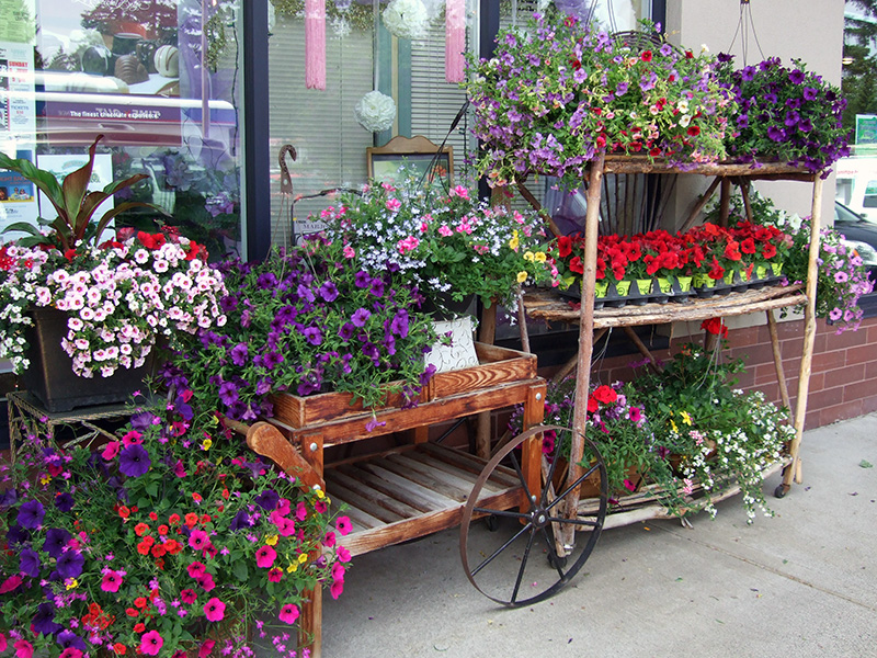 Brookswood Florist | 4061 200 St, Langley City, BC V3A 1K8, Canada | Phone: (604) 530-8311