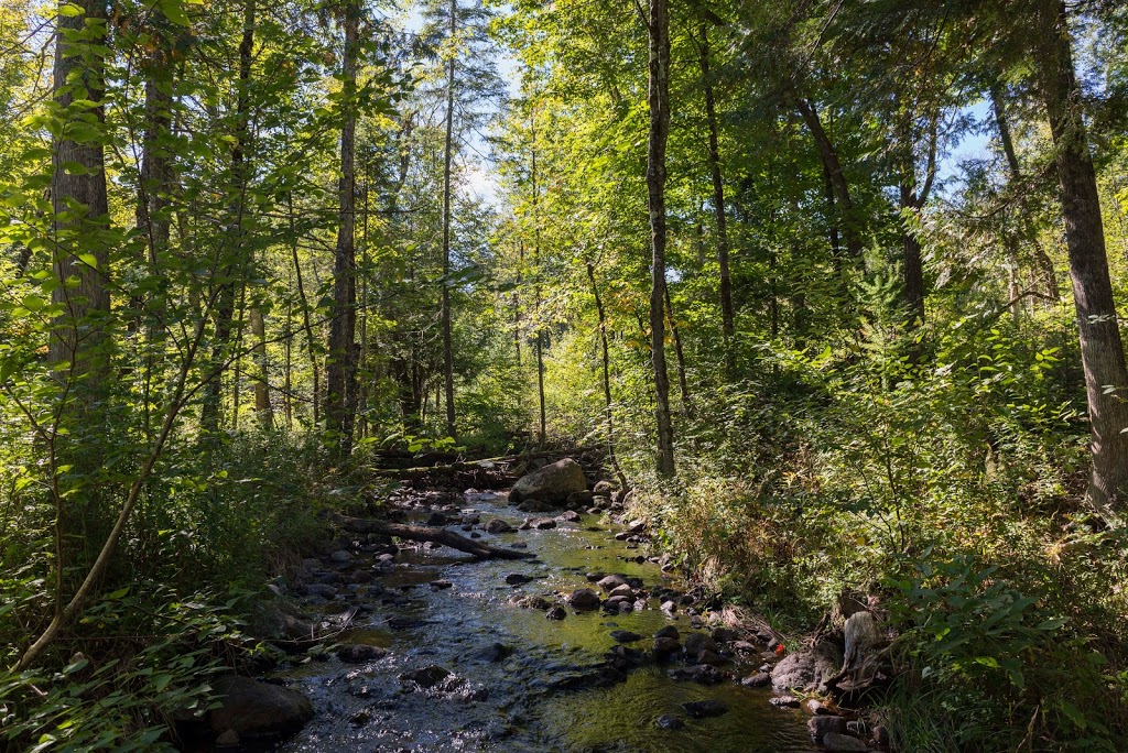 Yurta | 218 Chemin White #9, Harrington, QC J8G 2T3, Canada | Phone: (514) 291-6368