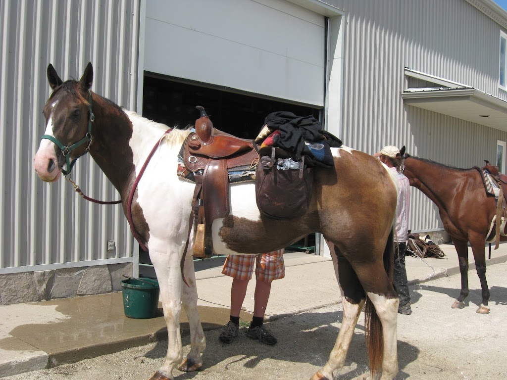 Professional Farrier Supply Inc. | 23 Coles Crescent, Mono, ON L9W 5W2, Canada | Phone: (519) 940-4247