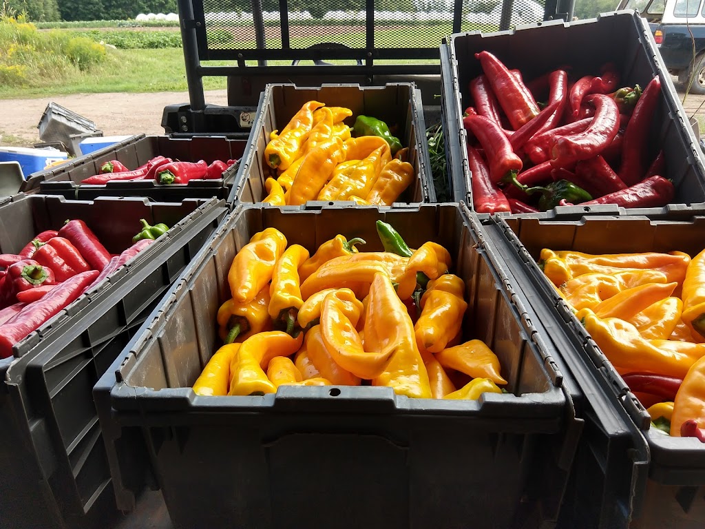 Jemseg River Farm | 260Rte 715, Jemseg, NB E4C 3N4, Canada | Phone: (506) 470-1906