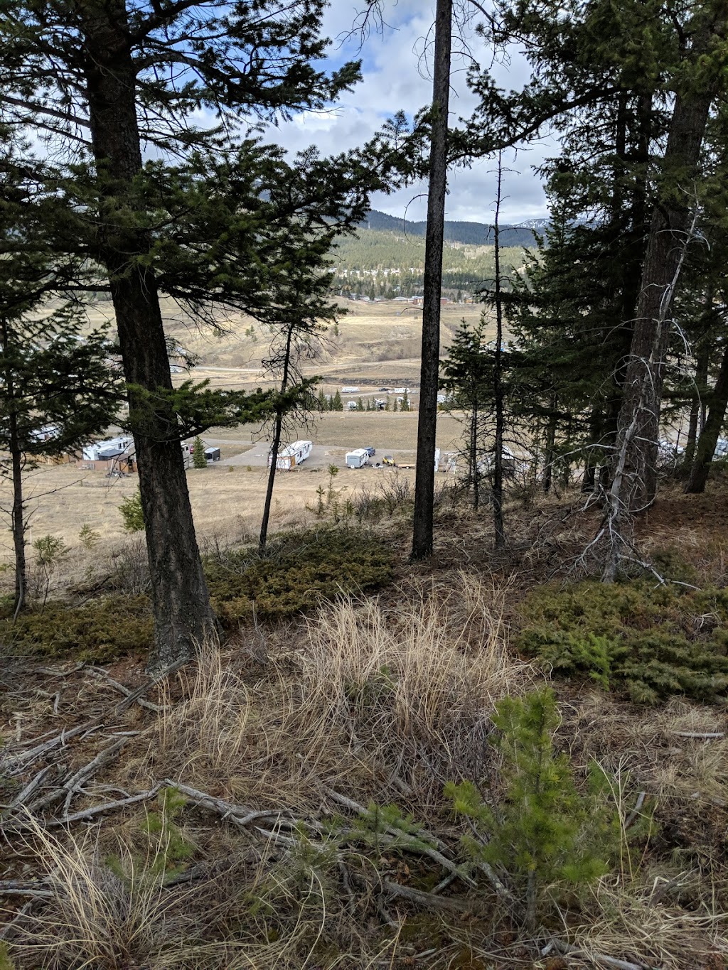 Green Mountain RV Park | 6700 15 Ave, Coleman, AB T0K 0M0, Canada | Phone: (403) 583-2267