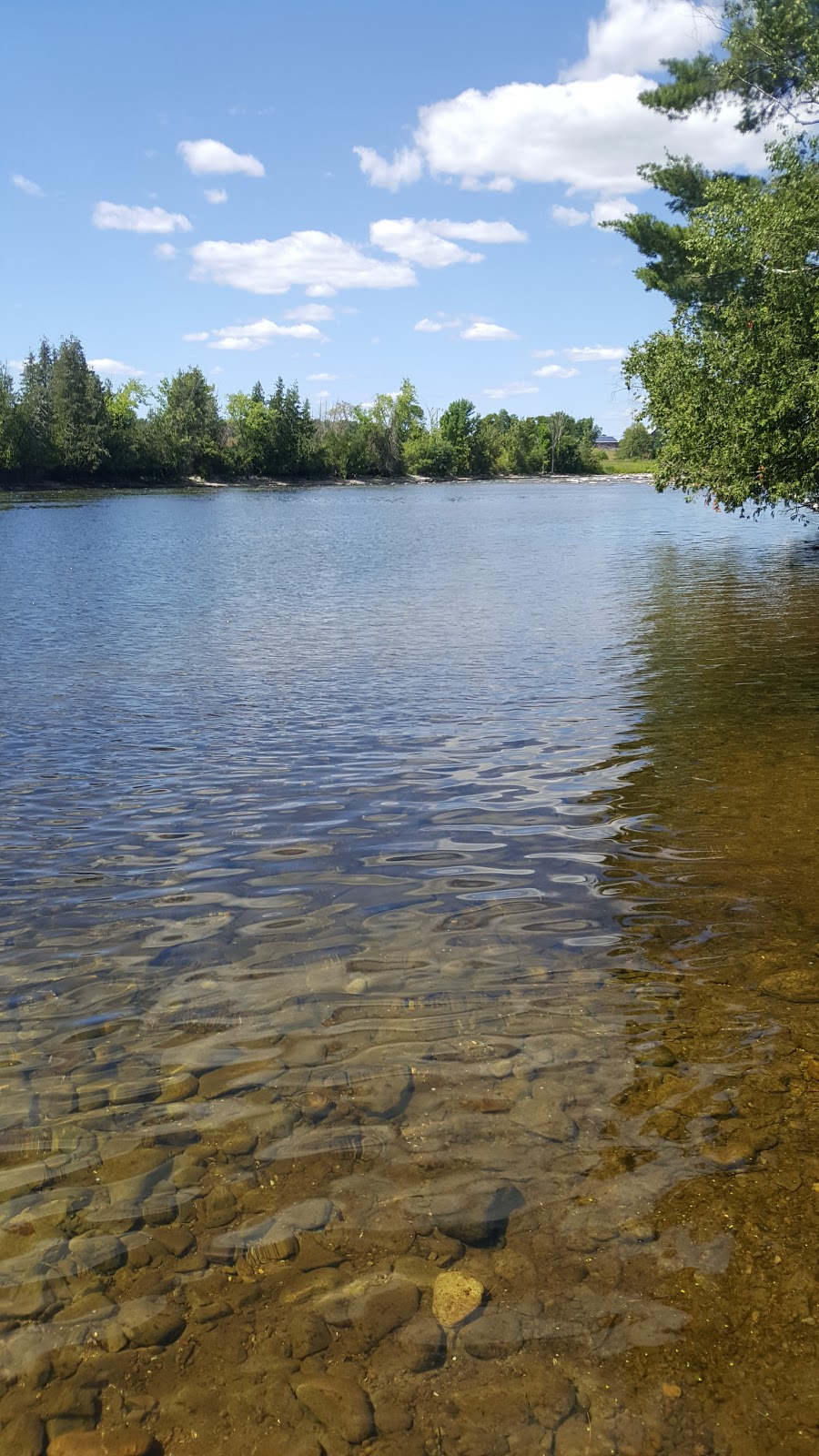 Trent-Severn Waterway, Lock 24 - Douro | County Road 32, Douro-Dummer, ON K0L, Canada | Phone: (705) 750-4957