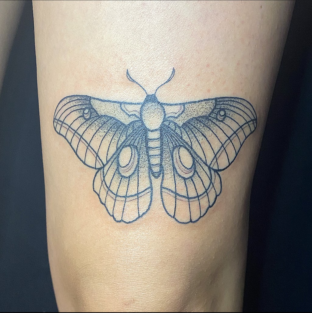 Cats and Tats | 3507 34A Ave NW, Edmonton, AB T6L 3Y8, Canada | Phone: (587) 501-6630