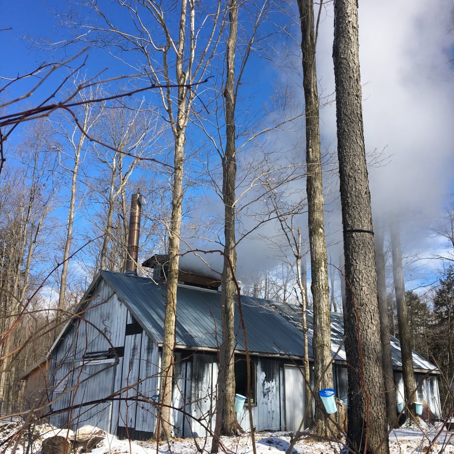 Sand Hills Maple Products | 1090 Manser Rd, Wellesley, ON N0B 2T0, Canada | Phone: (519) 656-3347