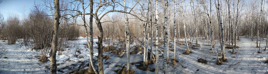 Brenda Leipsic Off-leash Dog Park | Hurst Way, Winnipeg, MB R3T 0W7, Canada | Phone: (877) 311-4974